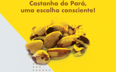 Castanha do Pará, uma escolha consciente!